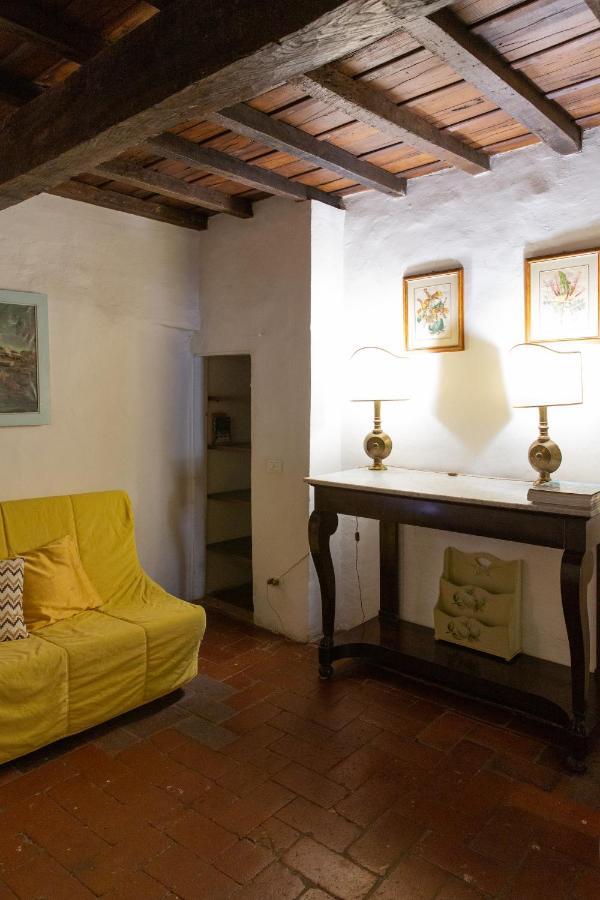 Comfy Apartment Near Palazzo Pitti 佛罗伦萨 外观 照片