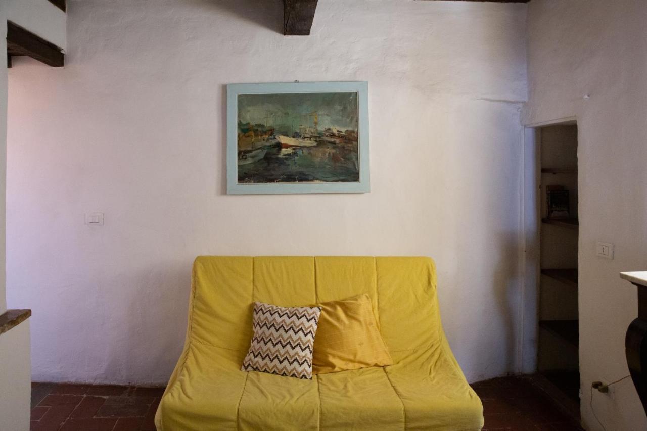 Comfy Apartment Near Palazzo Pitti 佛罗伦萨 外观 照片