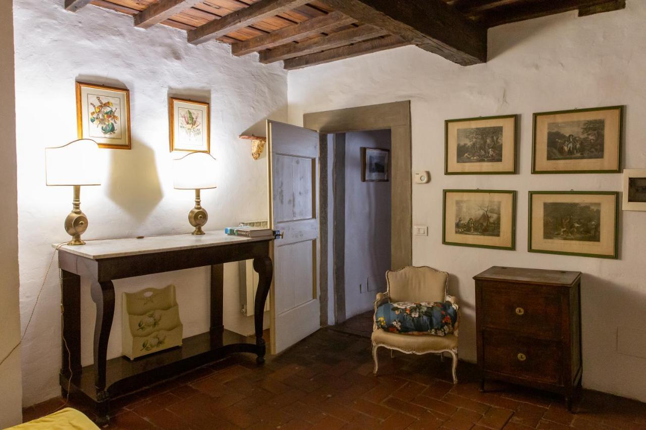 Comfy Apartment Near Palazzo Pitti 佛罗伦萨 外观 照片